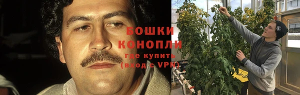 амф Беломорск