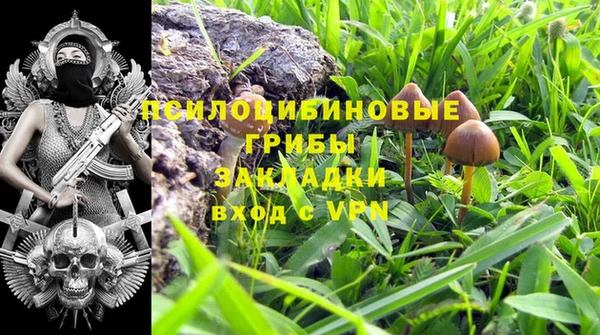 амф Беломорск