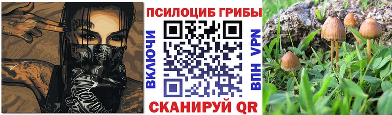 Галлюциногенные грибы мухоморы  купить наркотики сайты  Волчанск 